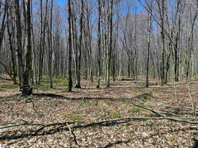 Land for sale in Michigan