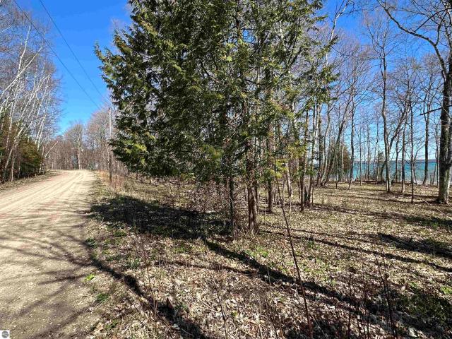 Land for sale in Michigan
