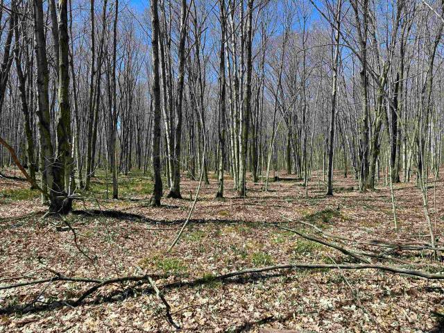 Land for sale in Michigan