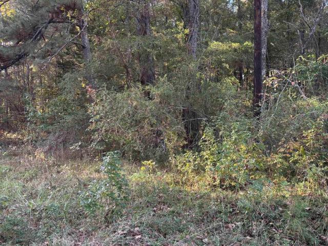 Land for sale in Ark