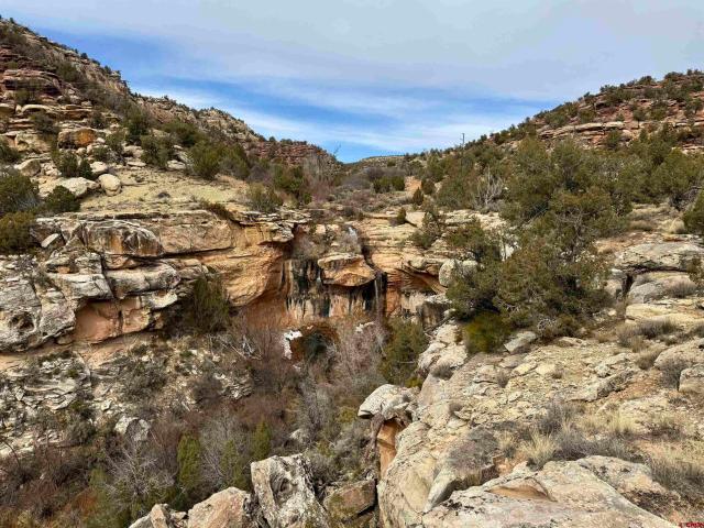Property for sale in Montrose, Colorado