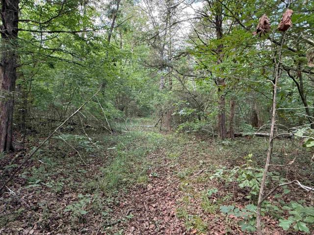 Land for sale in Ark