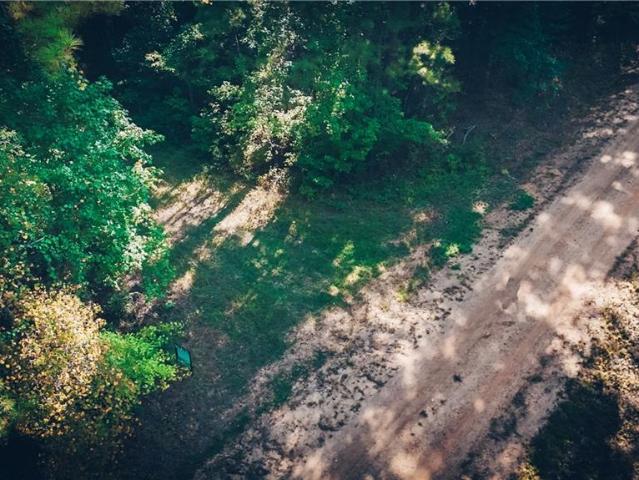 Land for sale in Dry Prong, Grant Parish