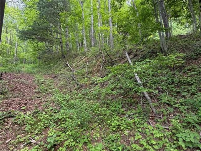 Land for sale in North Carolina