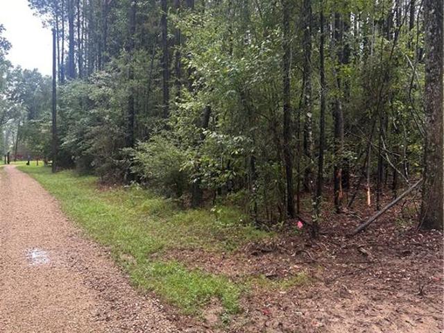 Land for sale in Independence, Louisiana