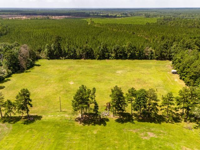 Land for sale in Polk, Texas