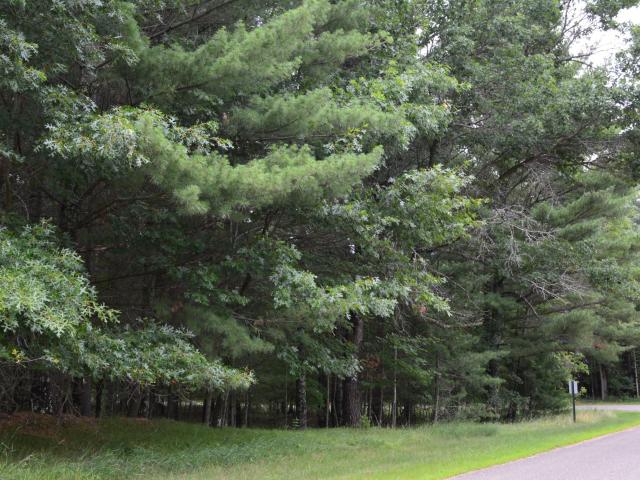 Land for sale in Grantsburg, Wisconsin