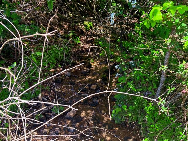 Land for sale in Virginia