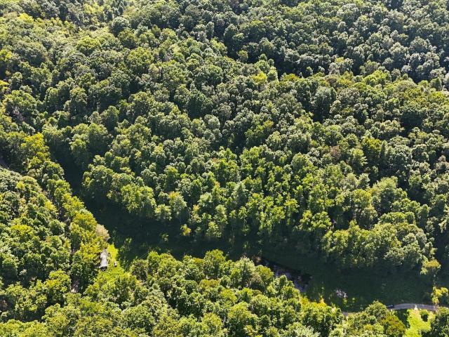 Land for sale in Bristol, Washington County