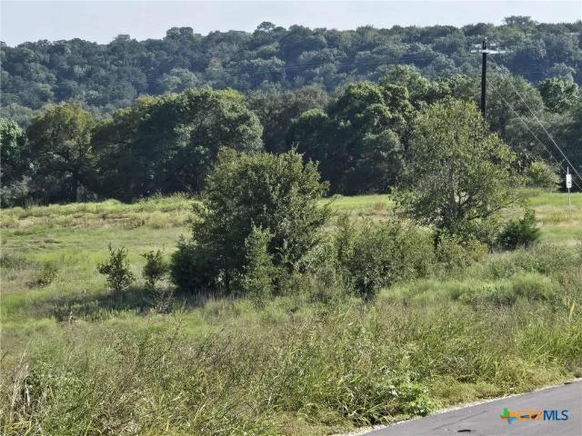 Land for sale in Oglesby, Texas