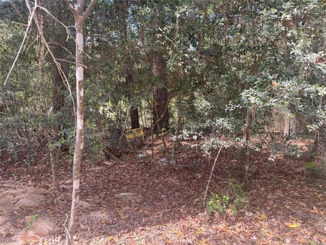 Land for sale in Polk, Texas