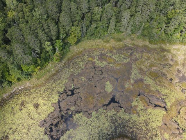 Land for sale in Minnesota