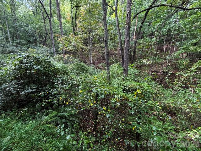 Land for sale in Marshall, North Carolina
