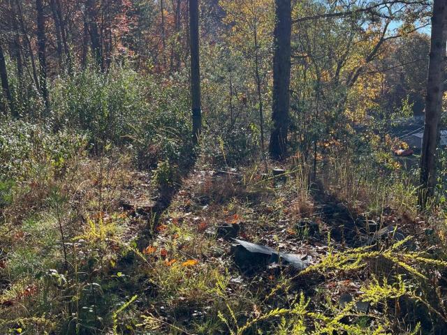 Land for sale in Virginia