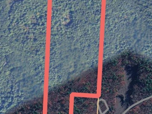 Land for sale in Coxsackie, New York