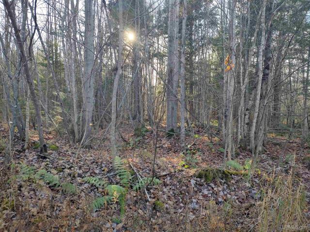 Land for sale in Deerton, Michigan