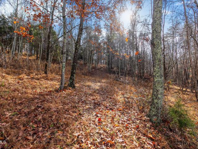Land for sale in Jonesborough, East Tennessee