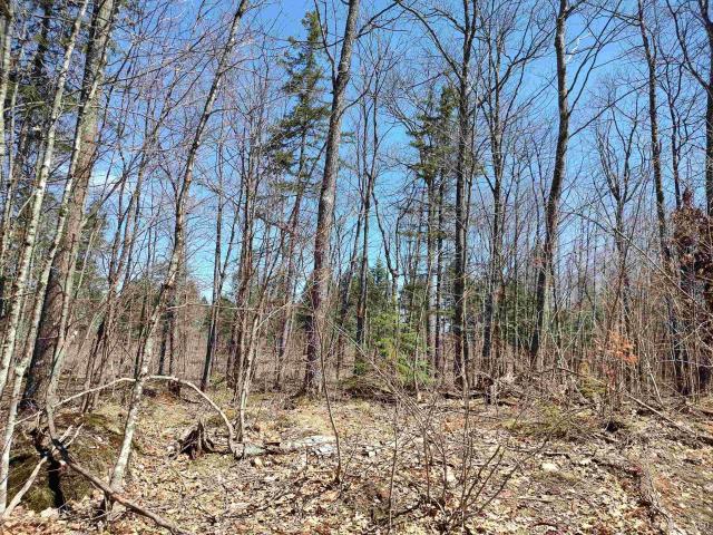 Land for sale in Michigan