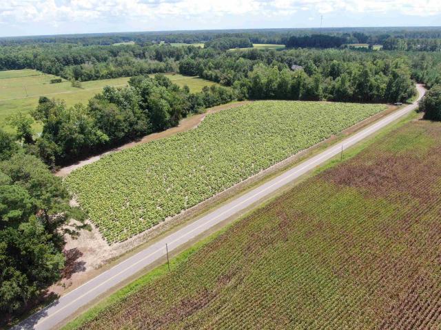Land for sale in Nichols, South Carolina