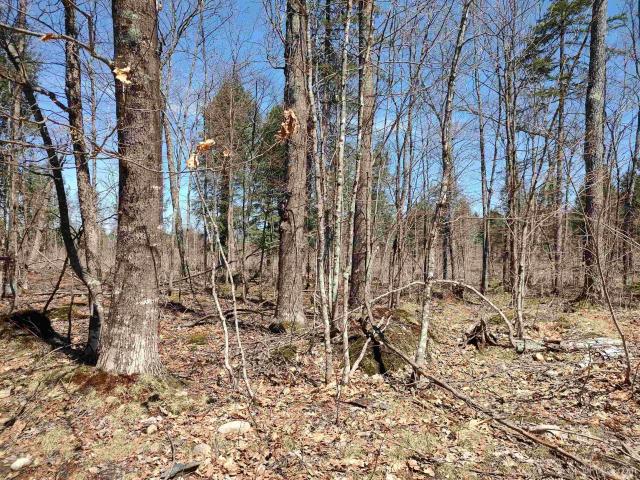 Land for sale in Michigan