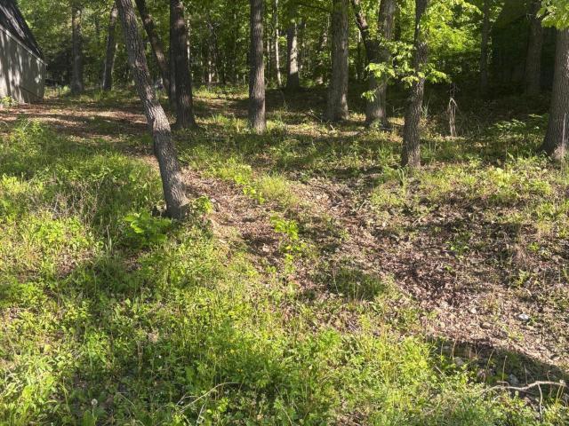 Land for sale in Stone, Missouri