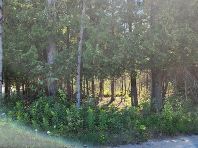 Land for sale in Michigan