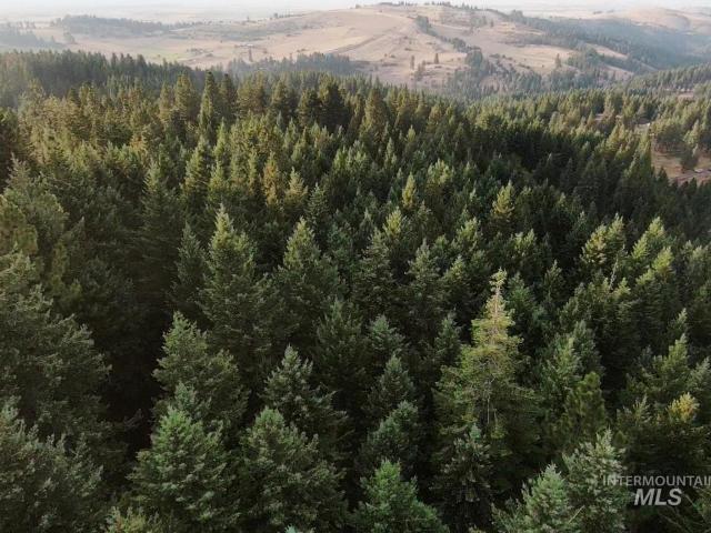 Land for sale in Grangeville, Idaho County