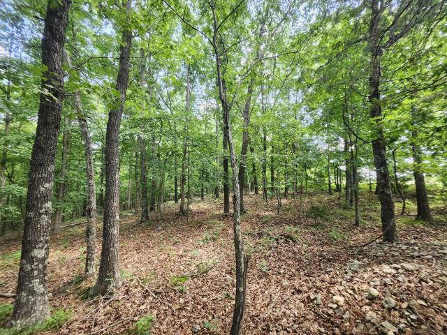 Land for sale in Missouri
