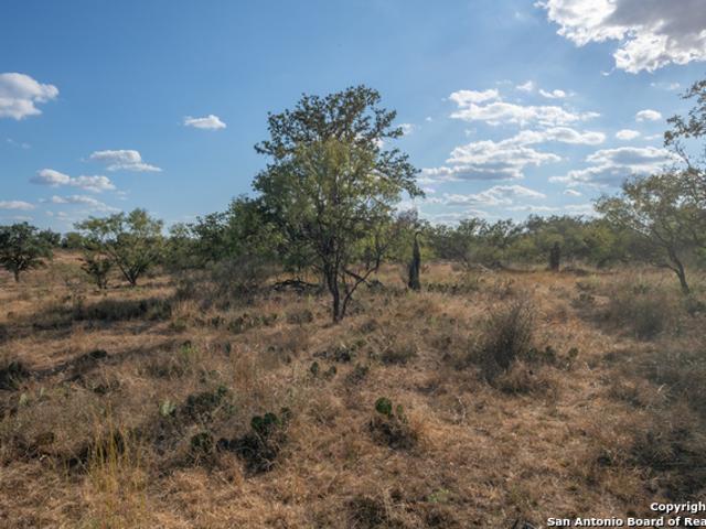 Land for sale in Kilgore, Texas