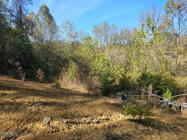 Land for sale in Tennessee
