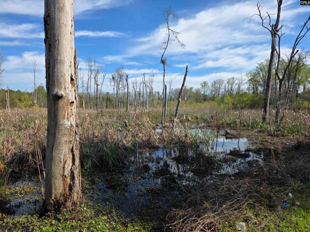 Land for sale in Cordova, South Carolina