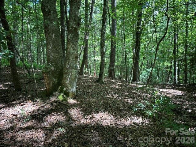 Land for sale in Transylvania, North Carolina