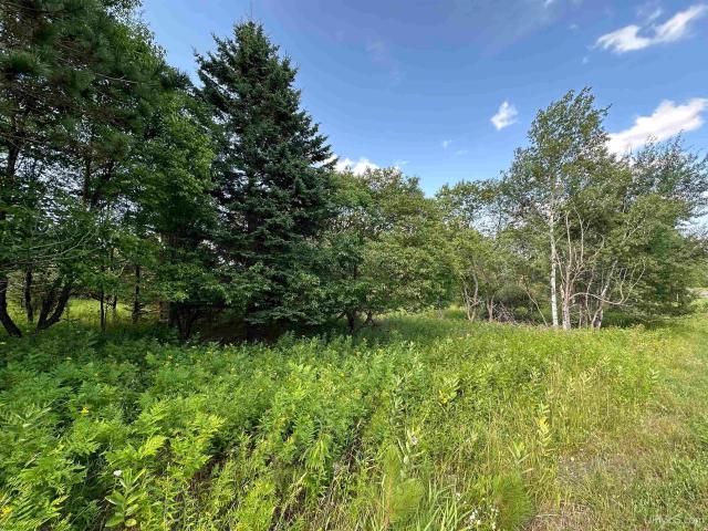 Land for sale in Iron River, Michigan