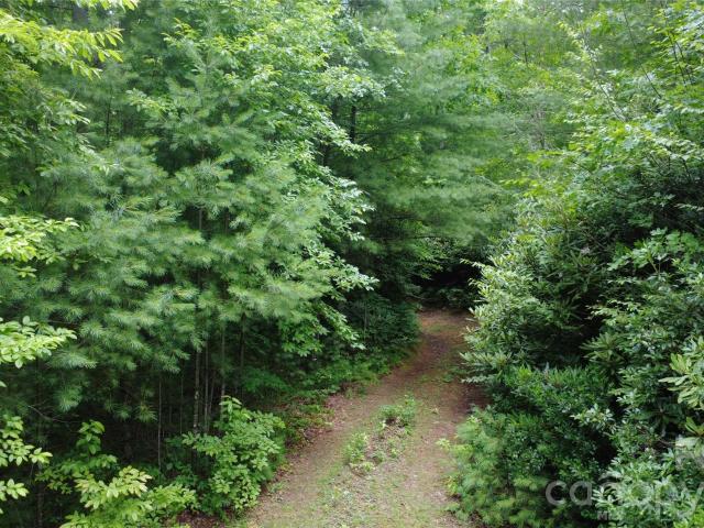 Land for sale in Lenoir, North Carolina