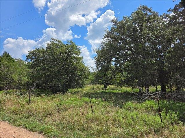 Land for sale in Columbus, Texas