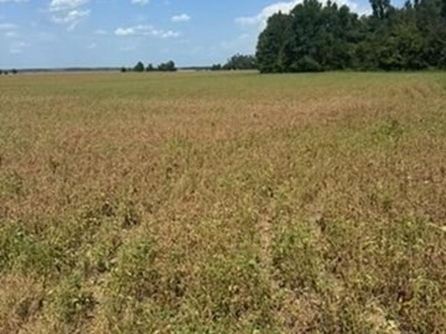 Farm for sale in Charleston, Mississippi