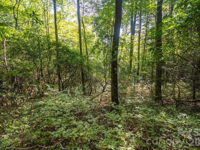 Land for sale in Transylvania County, North Carolina