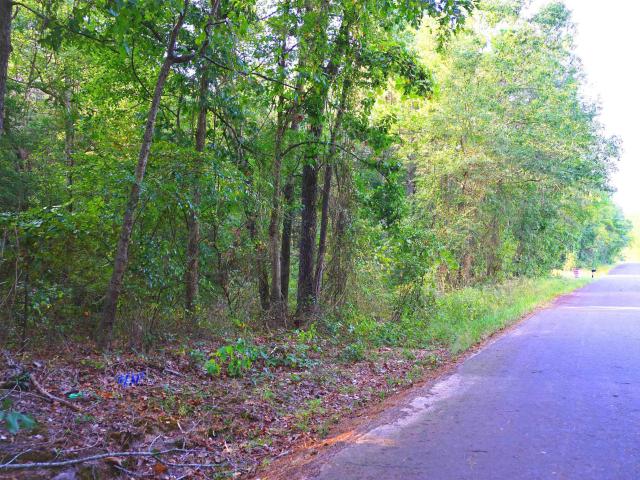 Land for sale in Titus, Texas