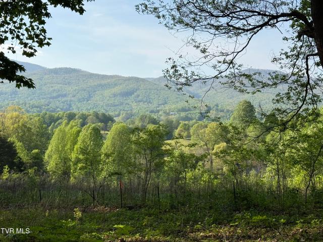 Land for sale in Tennessee