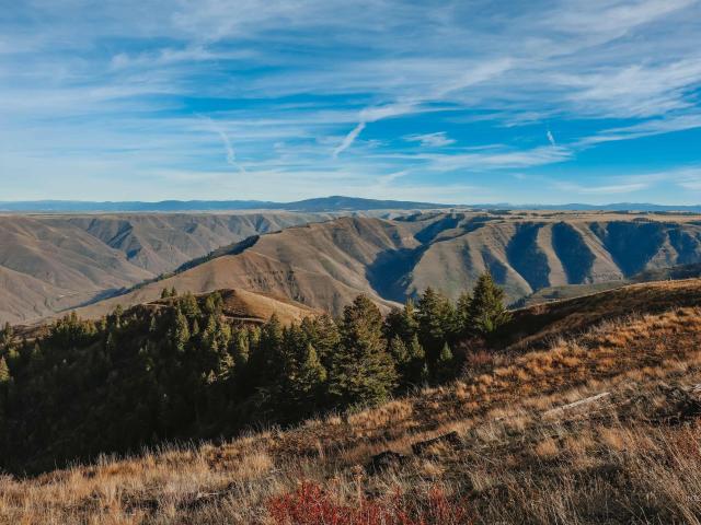 Land for sale in Cottonwood, Idaho