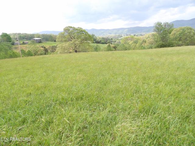 Land for sale in Harrogate, East Tennessee