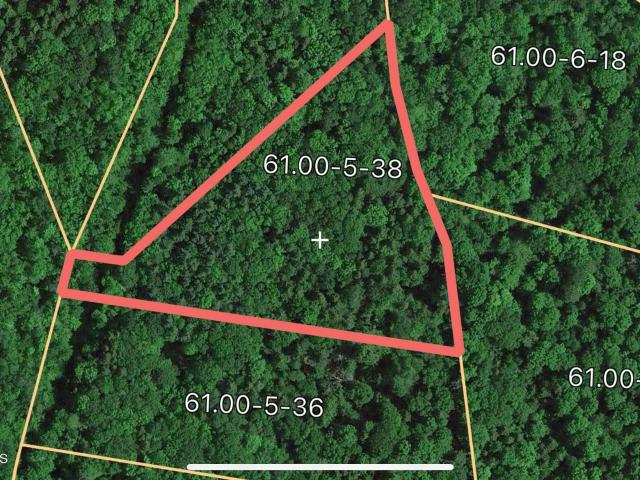 Land for sale in Ashland, New York