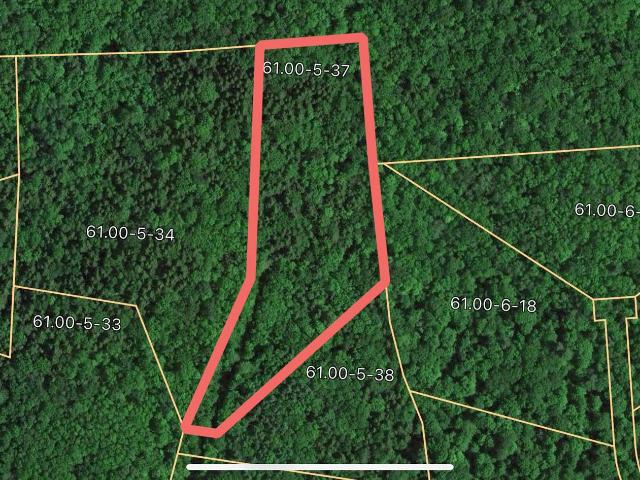 Land for sale in Ashland, New York