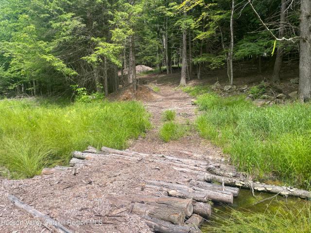 Land for sale in Ashland, New York