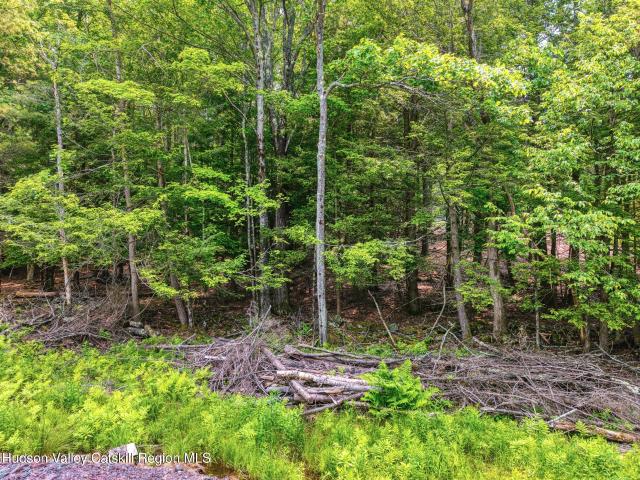 Land for sale in Ashland, New York