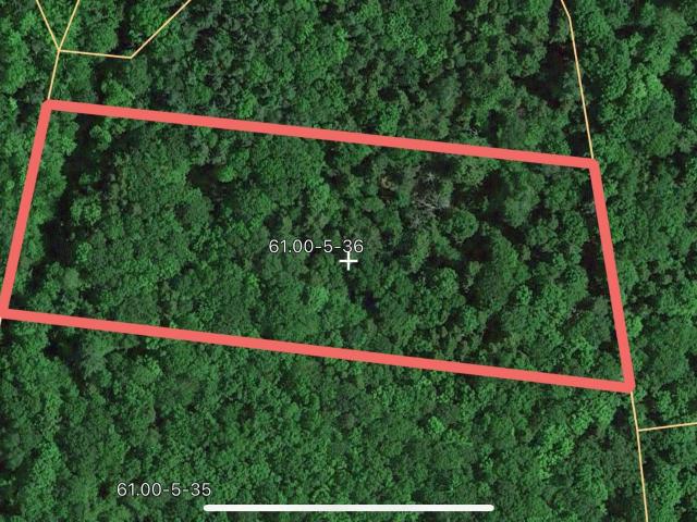 Land for sale in Ashland, New York