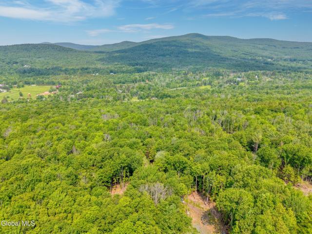 Land for sale in Ashland, New York