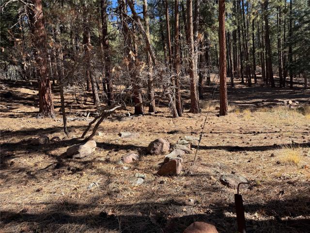 Land for sale in Chama, New Mexico