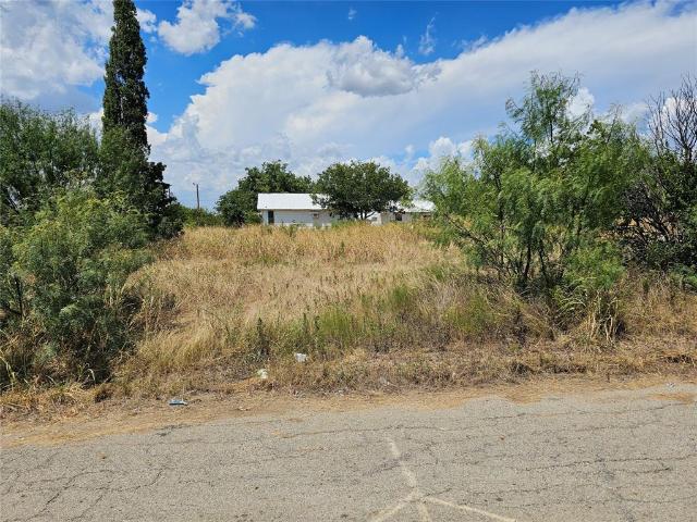 Land for sale in Coleman, Texas