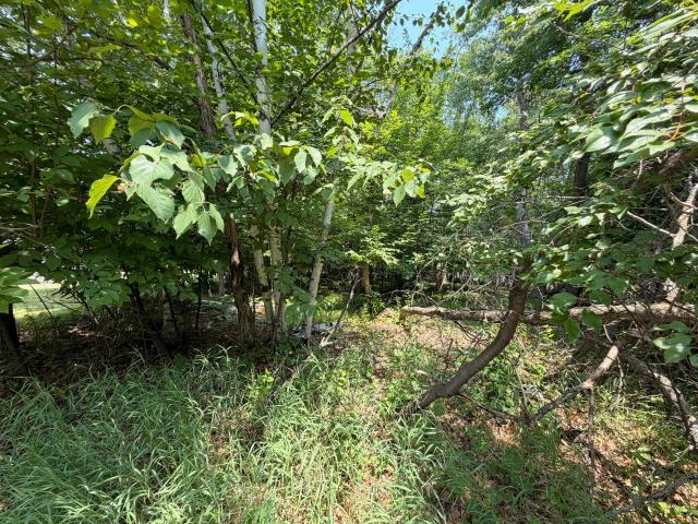 Land for sale in Crosslake, Minnesota
